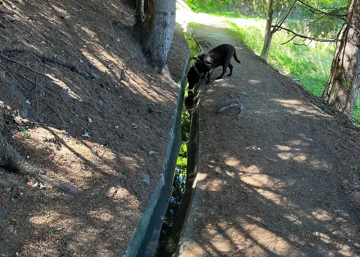 Bellevue 518 La Tzoumaz