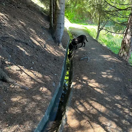 Bellevue 518 La Tzoumaz